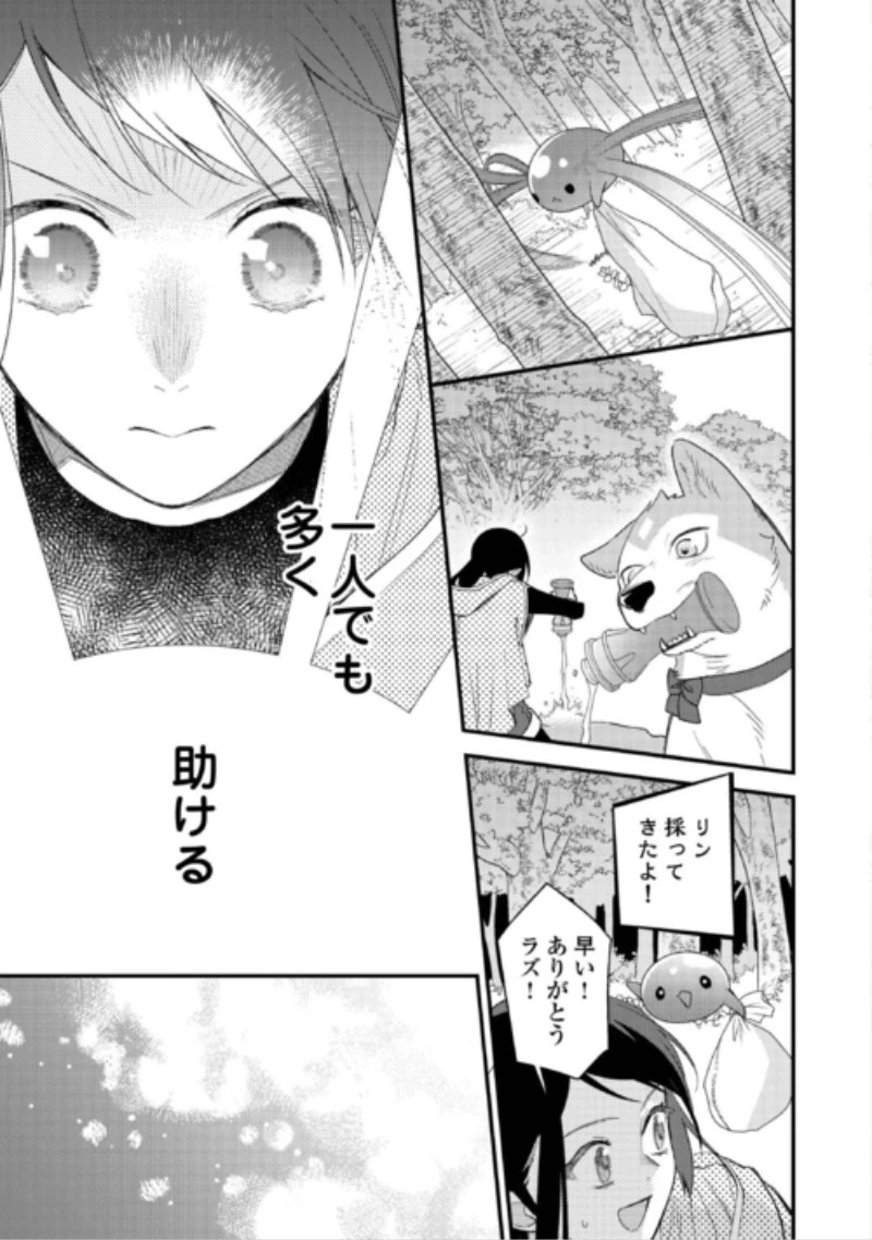 転移先は薬師が少ない世界でした 第44話 - 15
