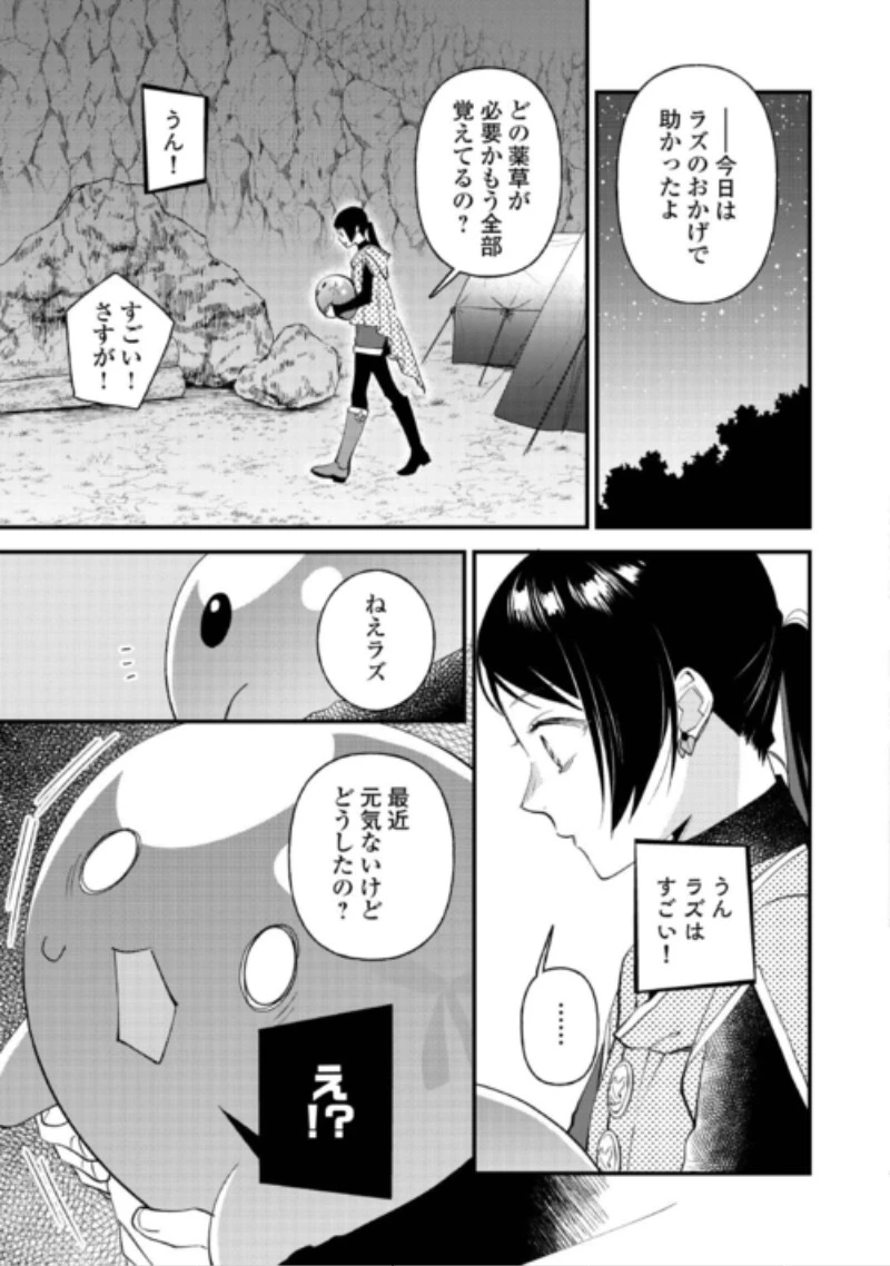 転移先は薬師が少ない世界でした 第44話 - 19