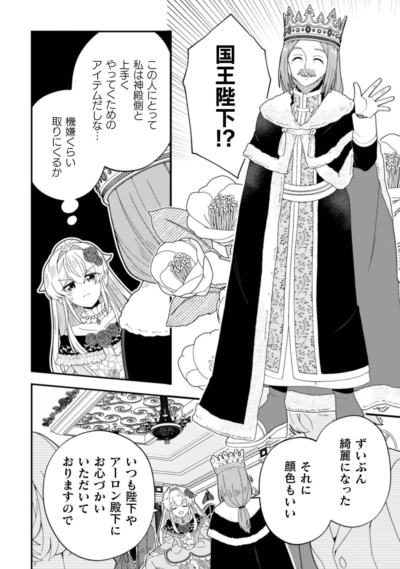 復讐姫にはなりたくないので全て悪役に押し付けます 第3話 - 24
