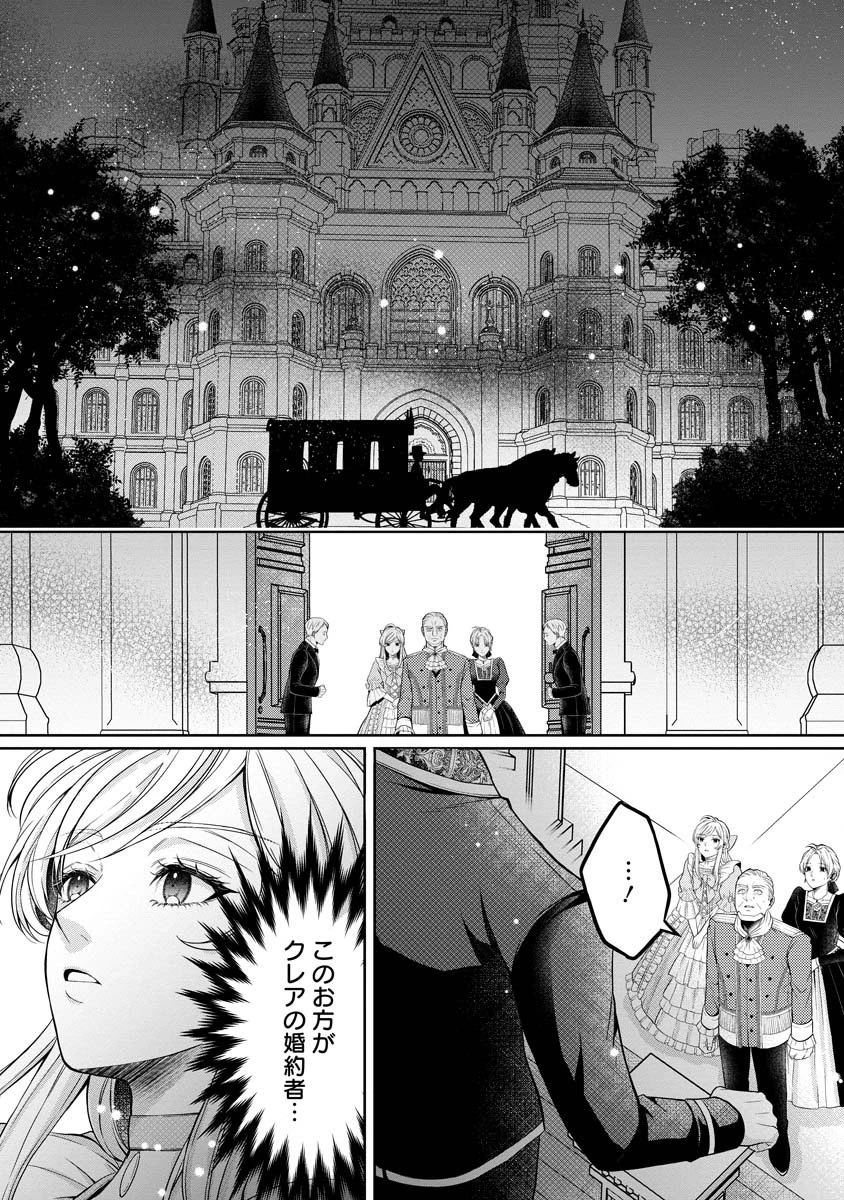 呪われた公爵令息の溺愛から逃げられません!～身代わり花嫁は、実は最強のスパイでした～ 第1話 - 46