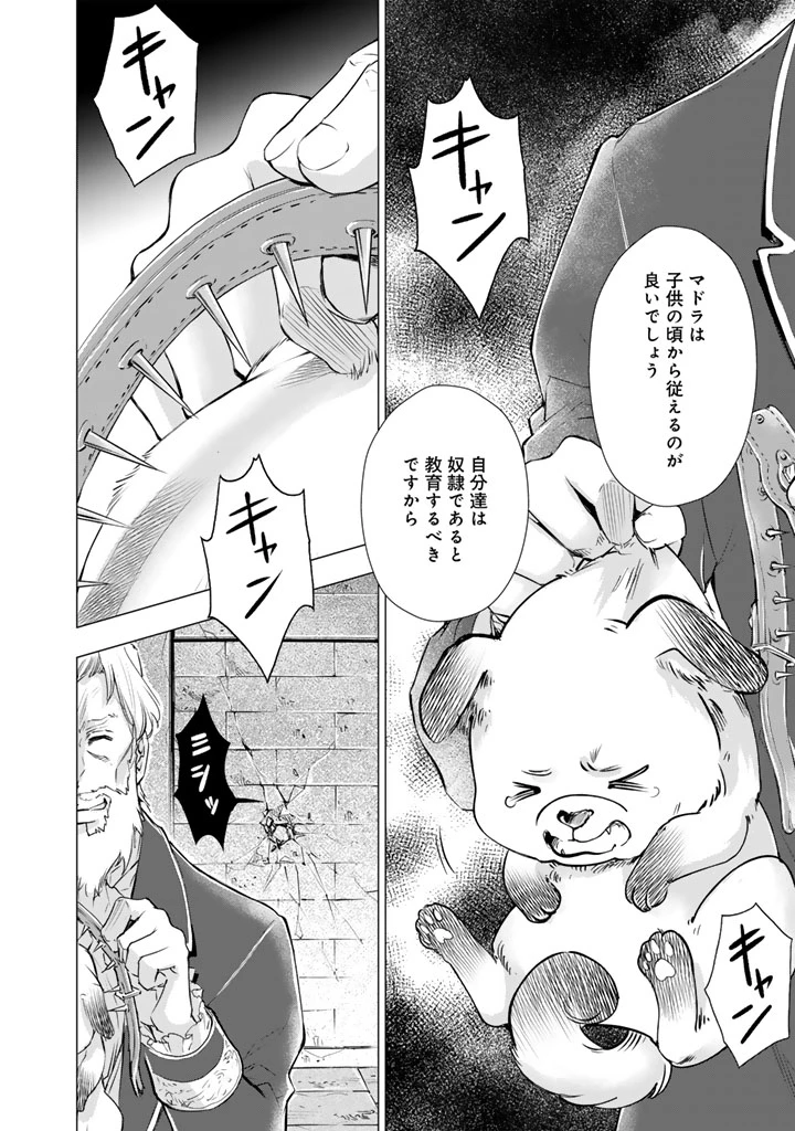 うちの犬が強すぎるんですが!?　転生したら女神様の祝福で世界を救うことになりました 第43話 - 12