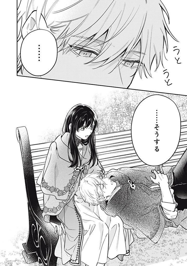 婚約破棄されたので、好きにすることにした。 第27話 - 8