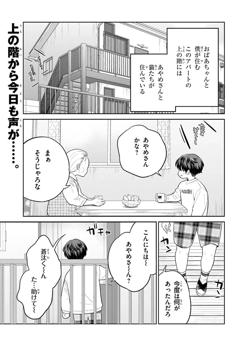 おねえさんと猫を飼う 第4話 - 1