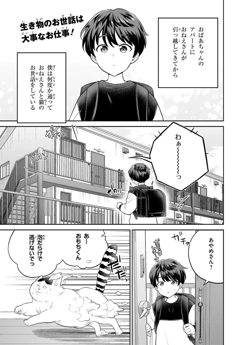 おねえさんと猫を飼う 第3話 - 1