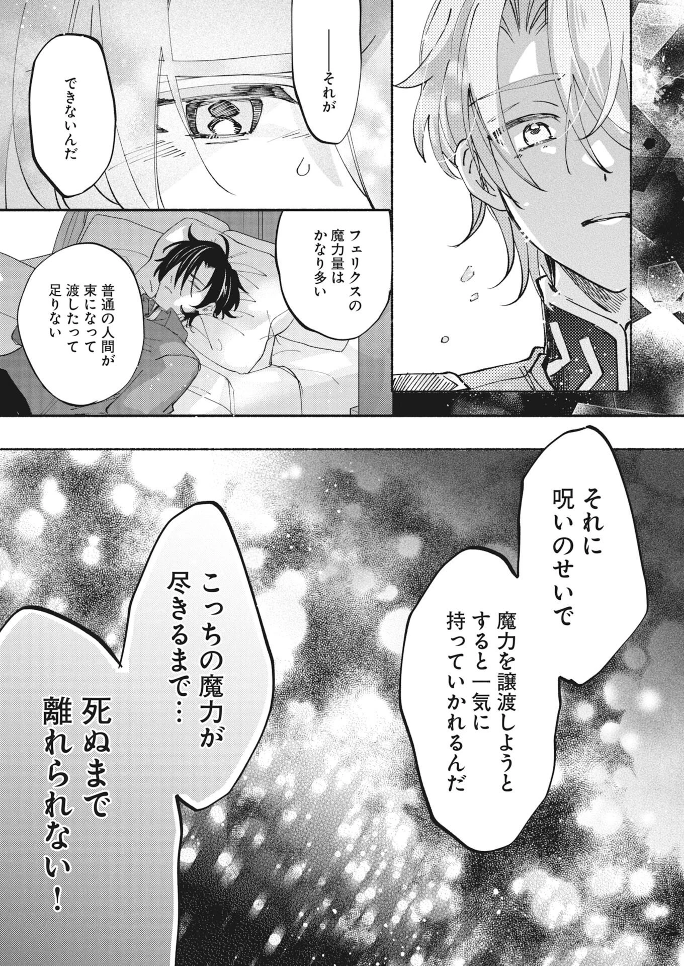 婚約者様には運命のヒロインが現れますが、暫定婚約ライフを満喫します！～嫌われ悪女の猫転生譚～ 第10話 - 7