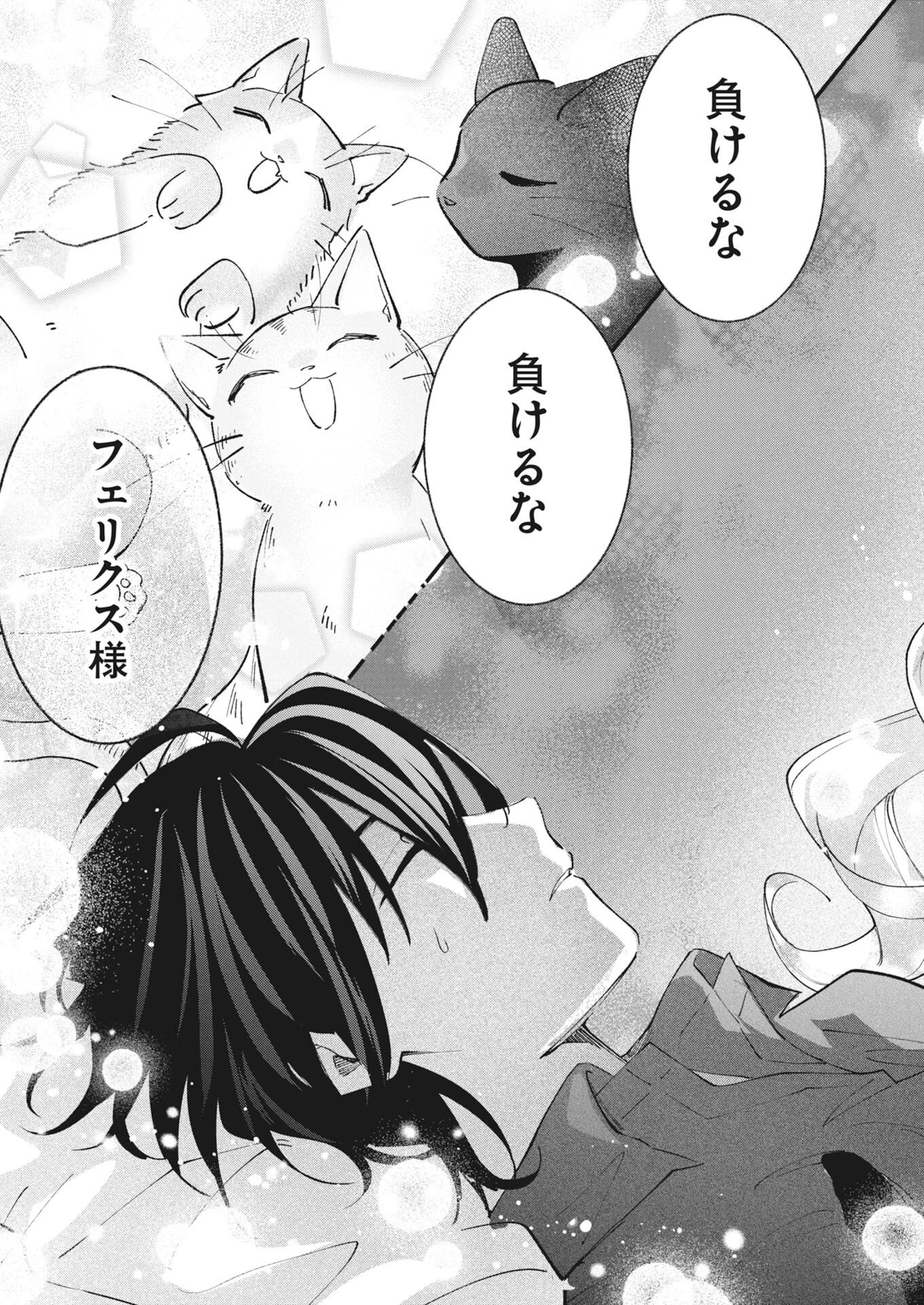 婚約者様には運命のヒロインが現れますが、暫定婚約ライフを満喫します！～嫌われ悪女の猫転生譚～ 第10話 - 17