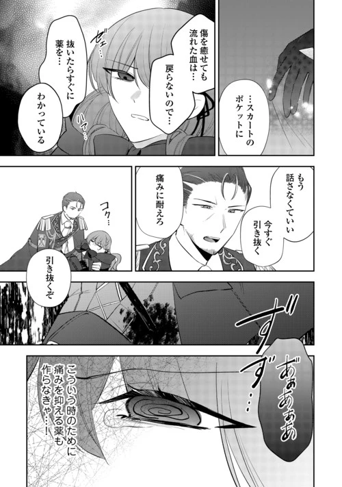 前世で処刑された聖女、今は黒薬師と呼ばれています 第9話 - 3