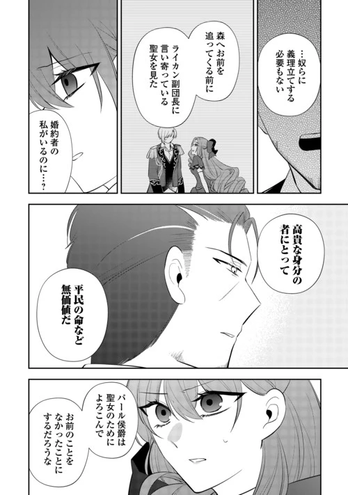 前世で処刑された聖女、今は黒薬師と呼ばれています 第9話 - 6