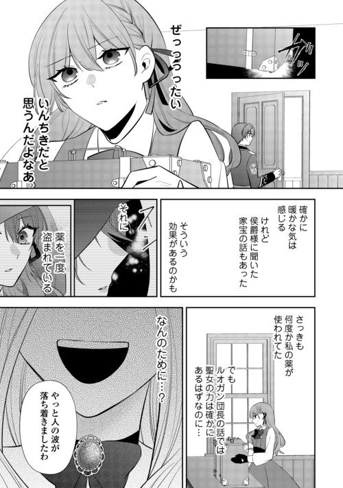 前世で処刑された聖女、今は黒薬師と呼ばれています 第9話 - 23