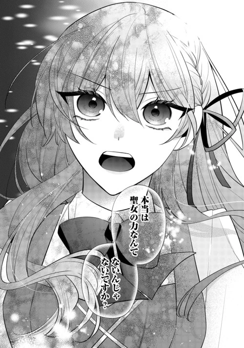 前世で処刑された聖女、今は黒薬師と呼ばれています 第9話 - 30
