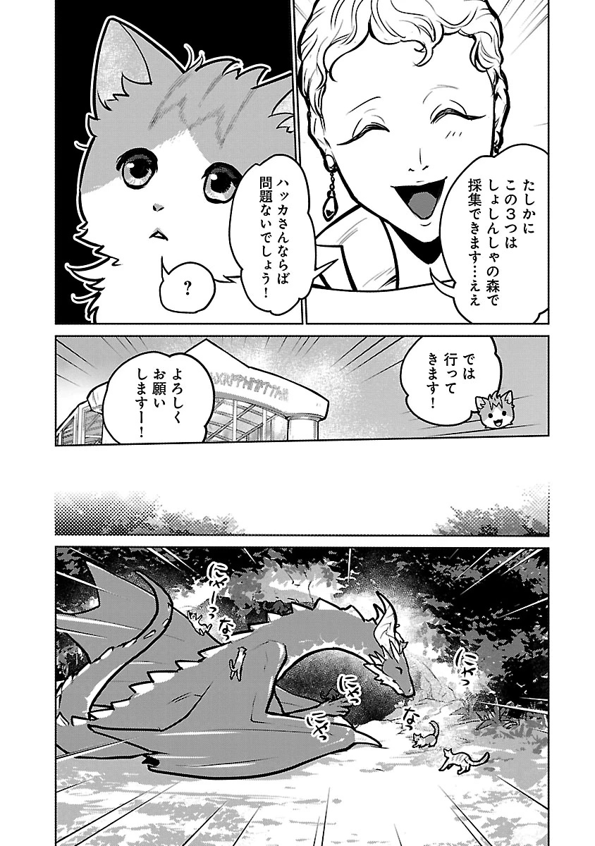 猫と竜 第59話 - 16