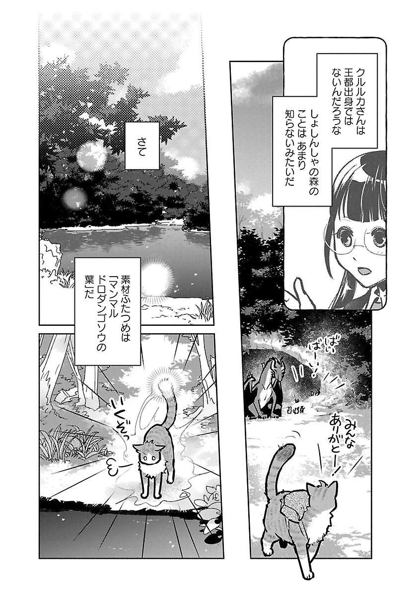 猫と竜 第59話 - 20