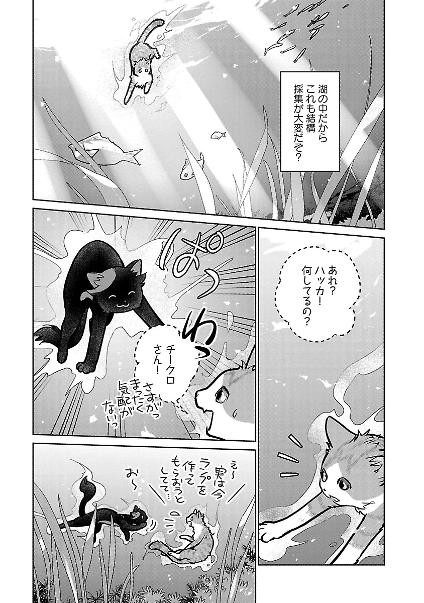 猫と竜 第59話 - 21