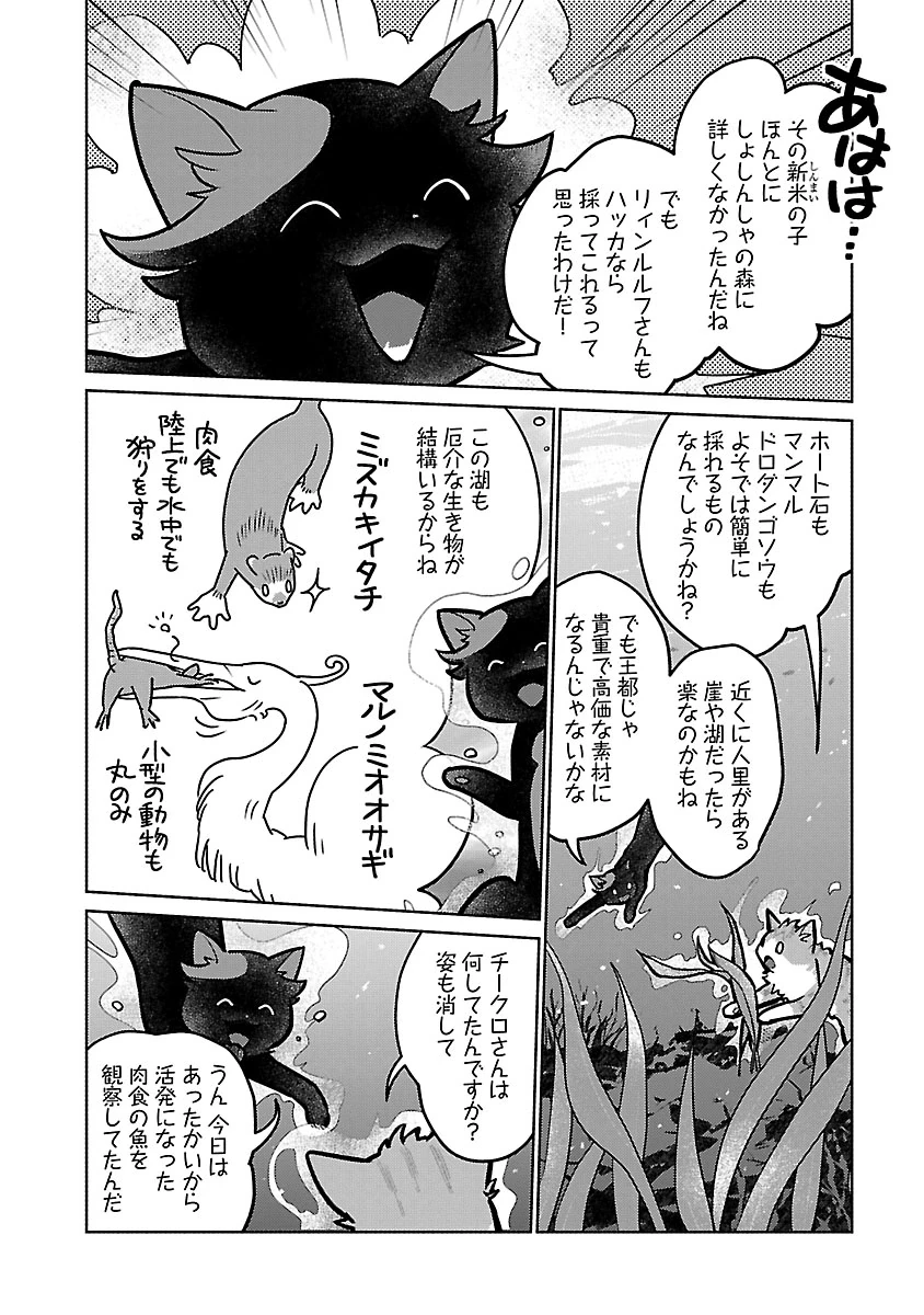 猫と竜 第59話 - 22