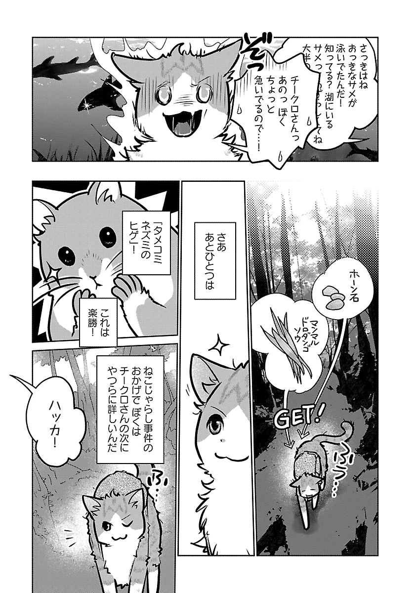 猫と竜 第59話 - 23