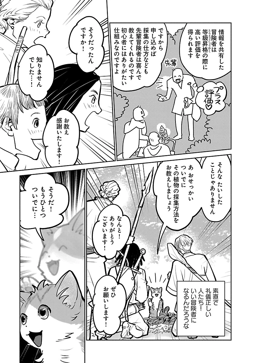 猫と竜 第59話 - 29