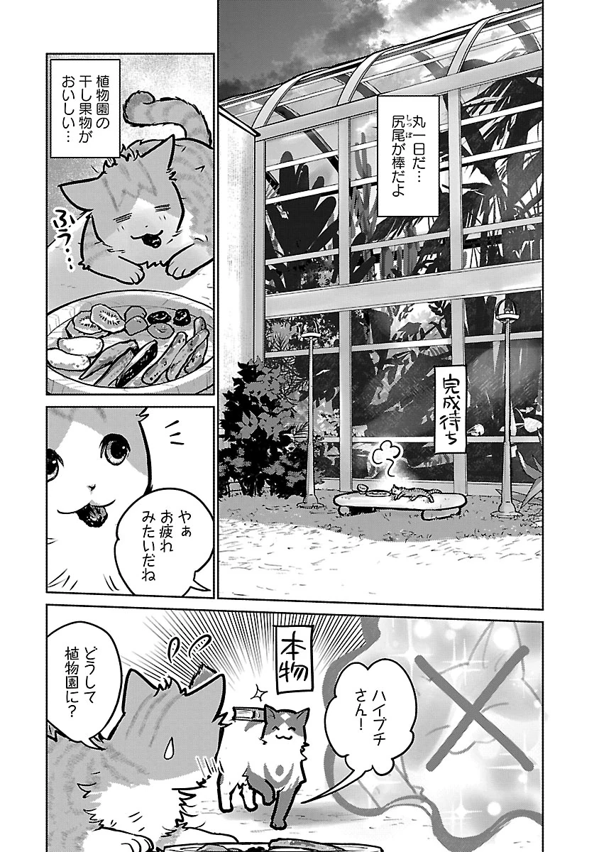 猫と竜 第59話 - 31