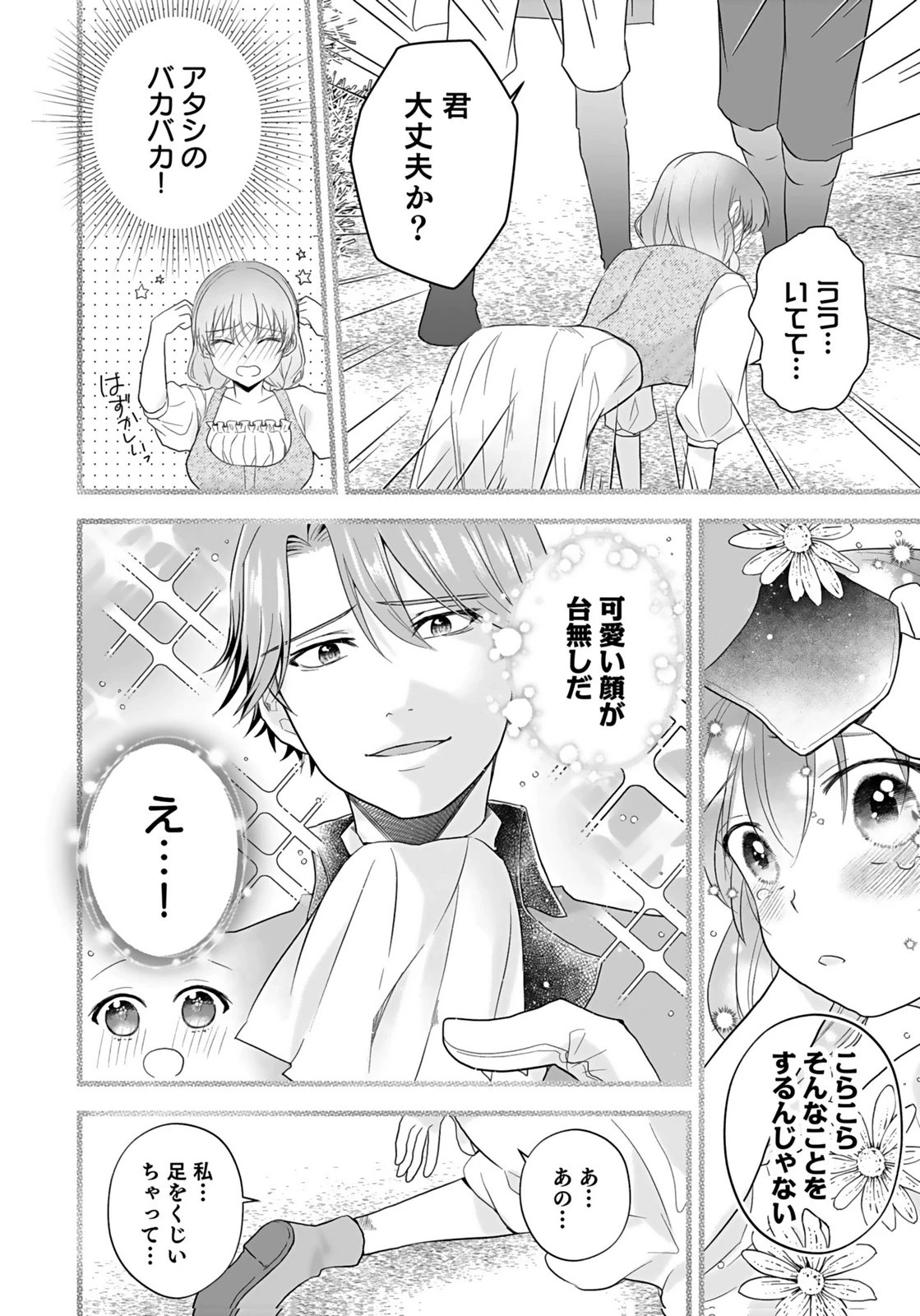 婚約者から「平民を愛人にしたい」と言われた私-お飾りの妻は嫌なので「真実の愛」と共に破滅させます- 第6話 - 14