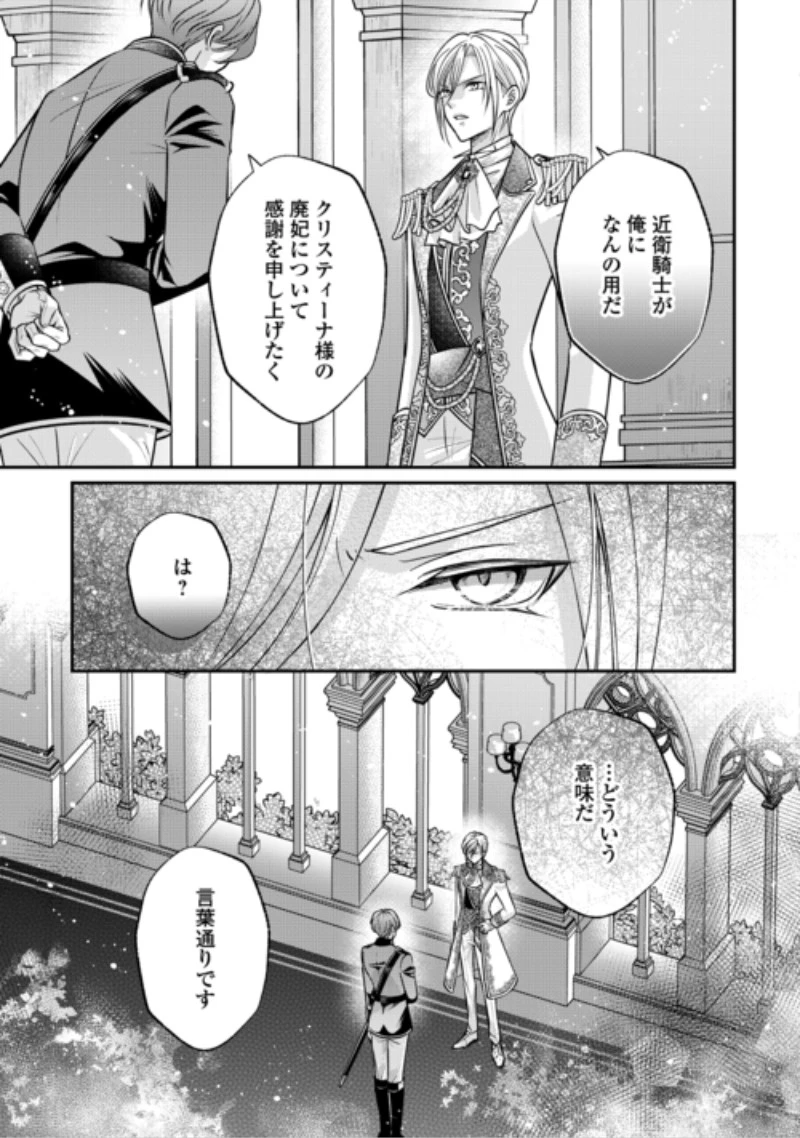 側妃は捨てられましたので 第5話 - 17