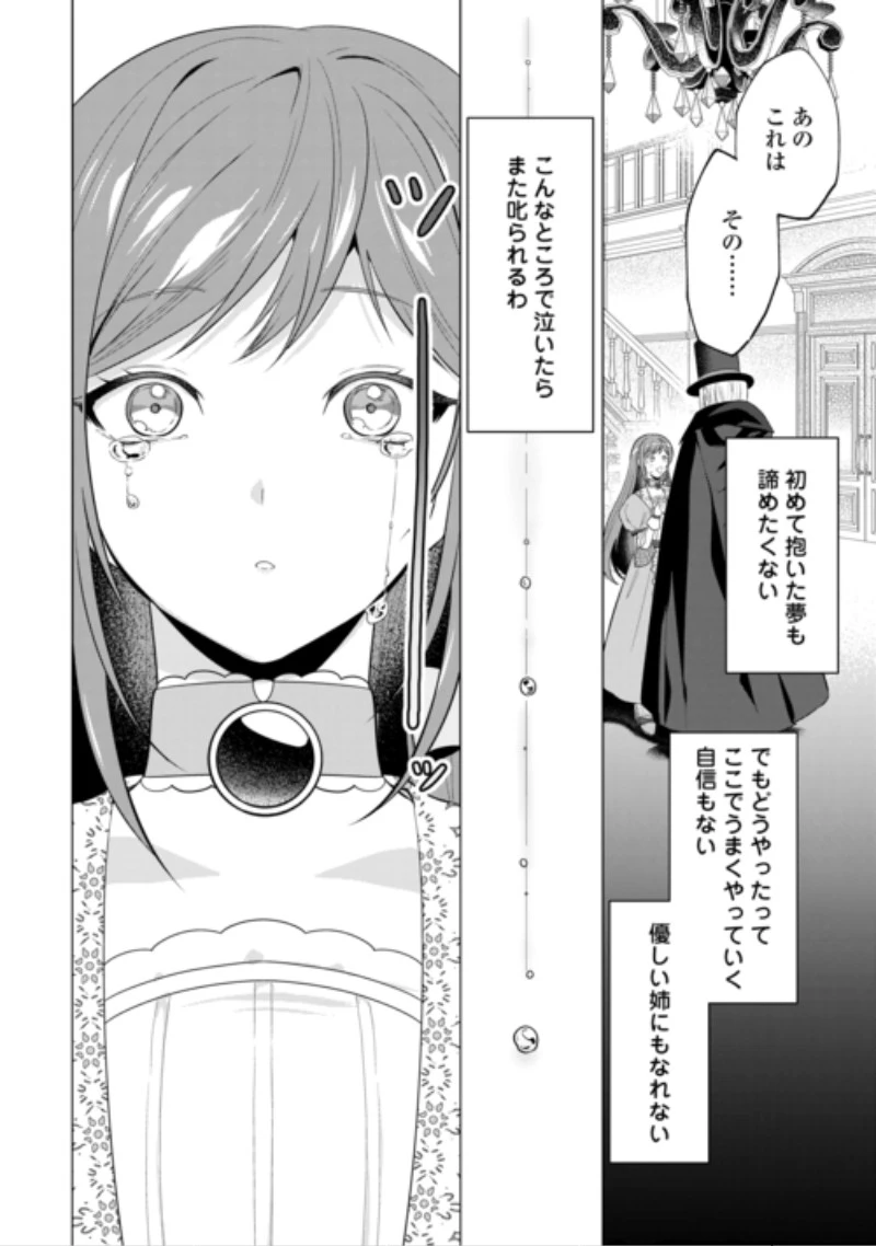 最狂公爵閣下のお気に入り 第3話 - 28