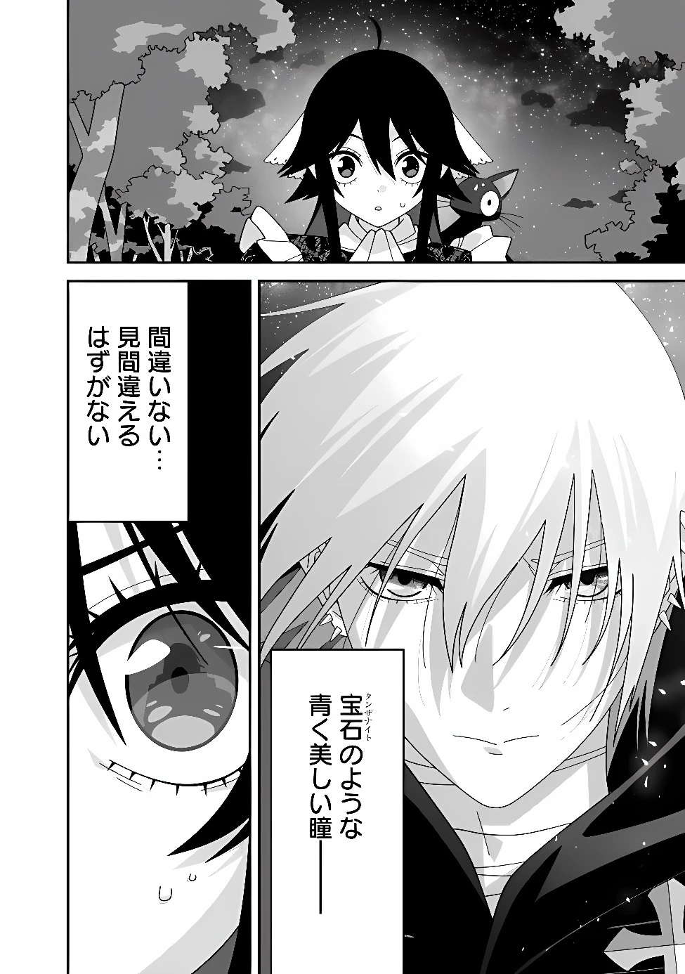 黒猫の悪役令嬢～最低魔力ですが、最強の剣術で諸国漫遊しちゃいます～ 第2話 - 34