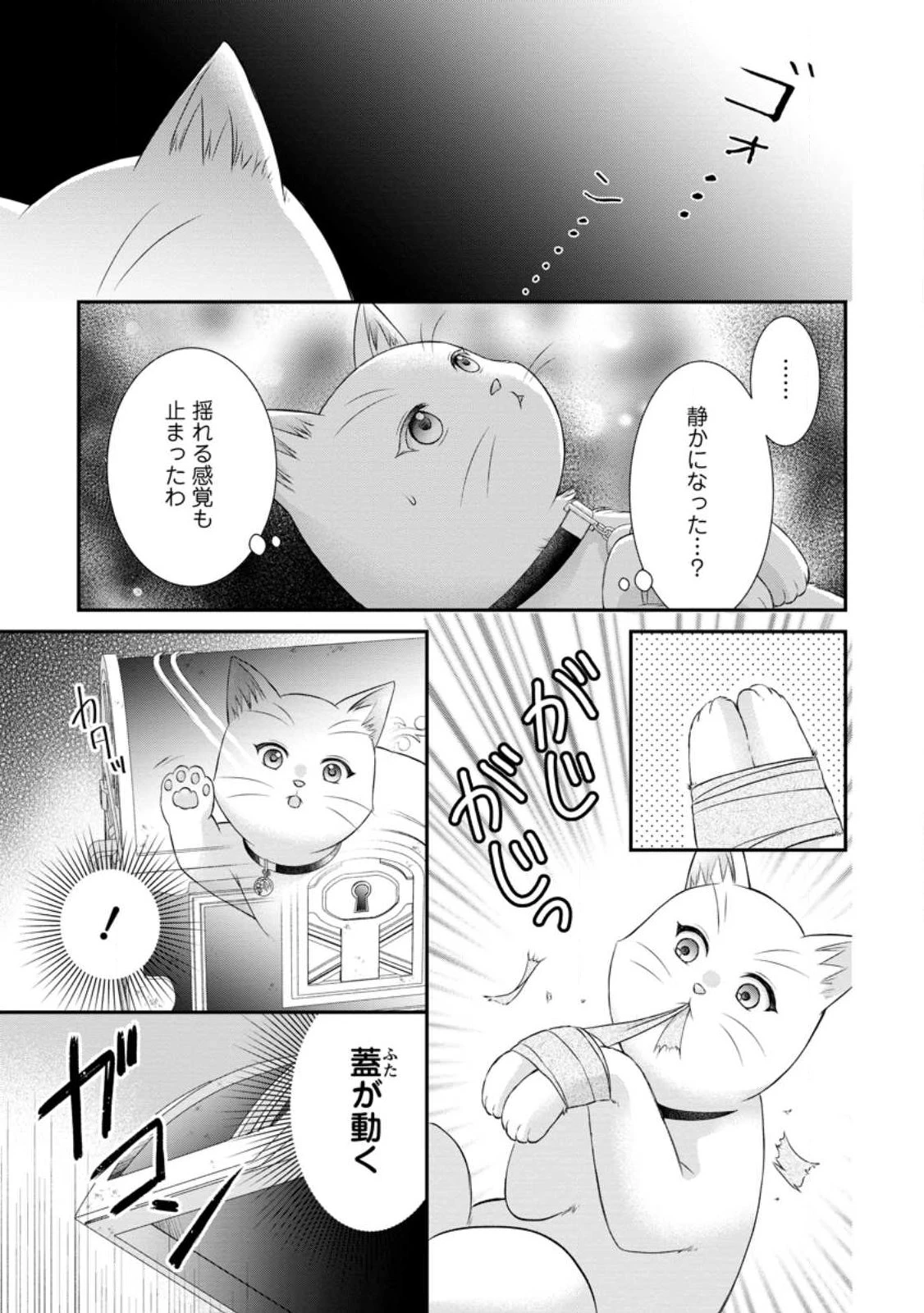 呪いで猫にされた悪女、王太子に拾われる。 第24話 - 5