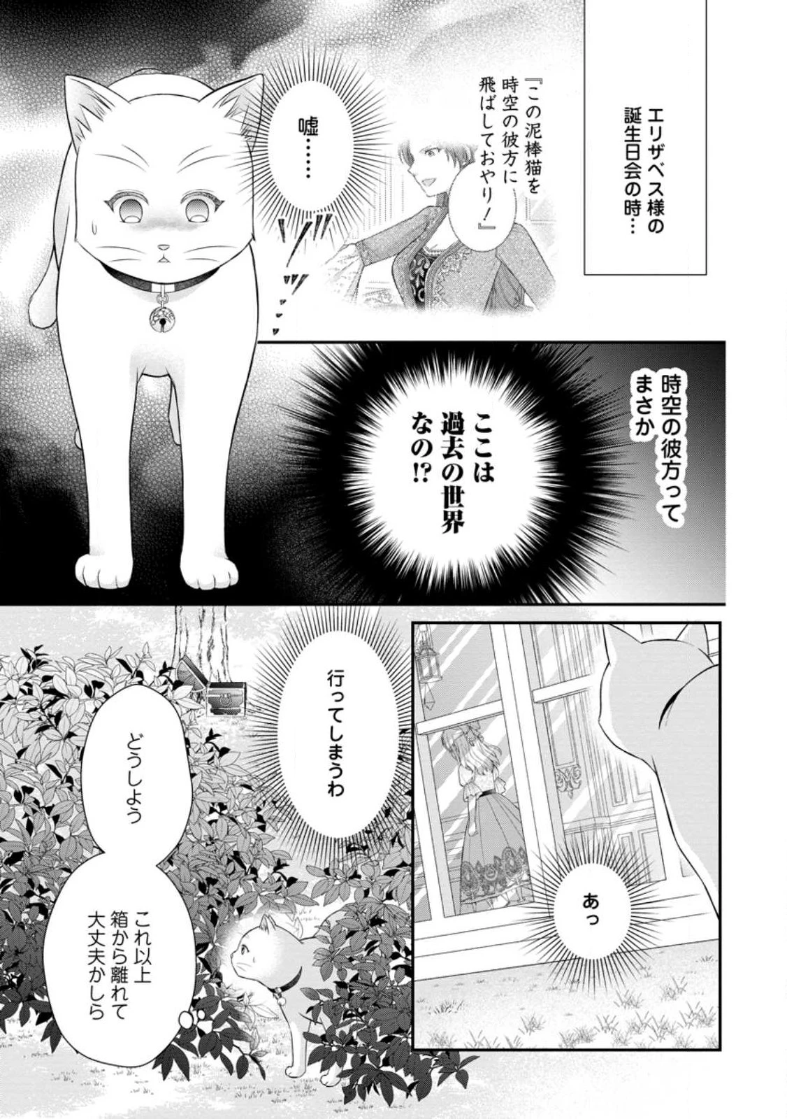 呪いで猫にされた悪女、王太子に拾われる。 第24話 - 9