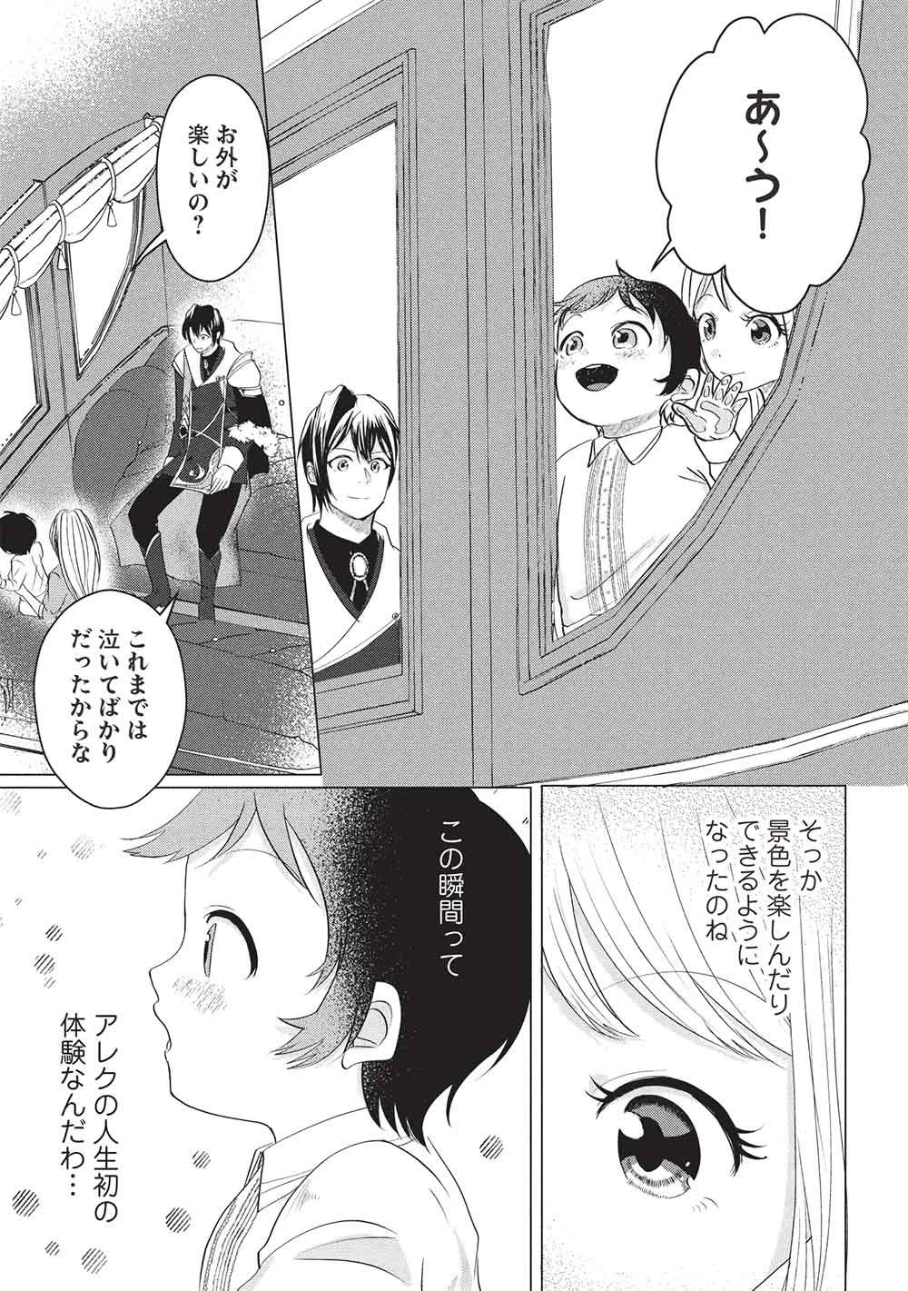 1年限りの契約婚(公爵様の溺愛付き!) ～英雄の継母になった私は、どうやら聖女の末裔のようです～ 第8話 - 3