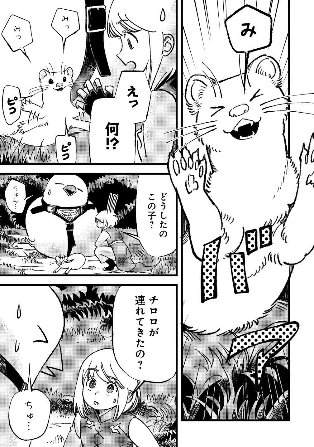 小鳥ライダーは都会で暮らしたい モフモフな相棒と、のんびり異世界冒険記 第6話 - 5