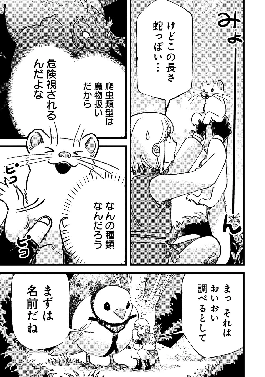 小鳥ライダーは都会で暮らしたい モフモフな相棒と、のんびり異世界冒険記 第6話 - 9