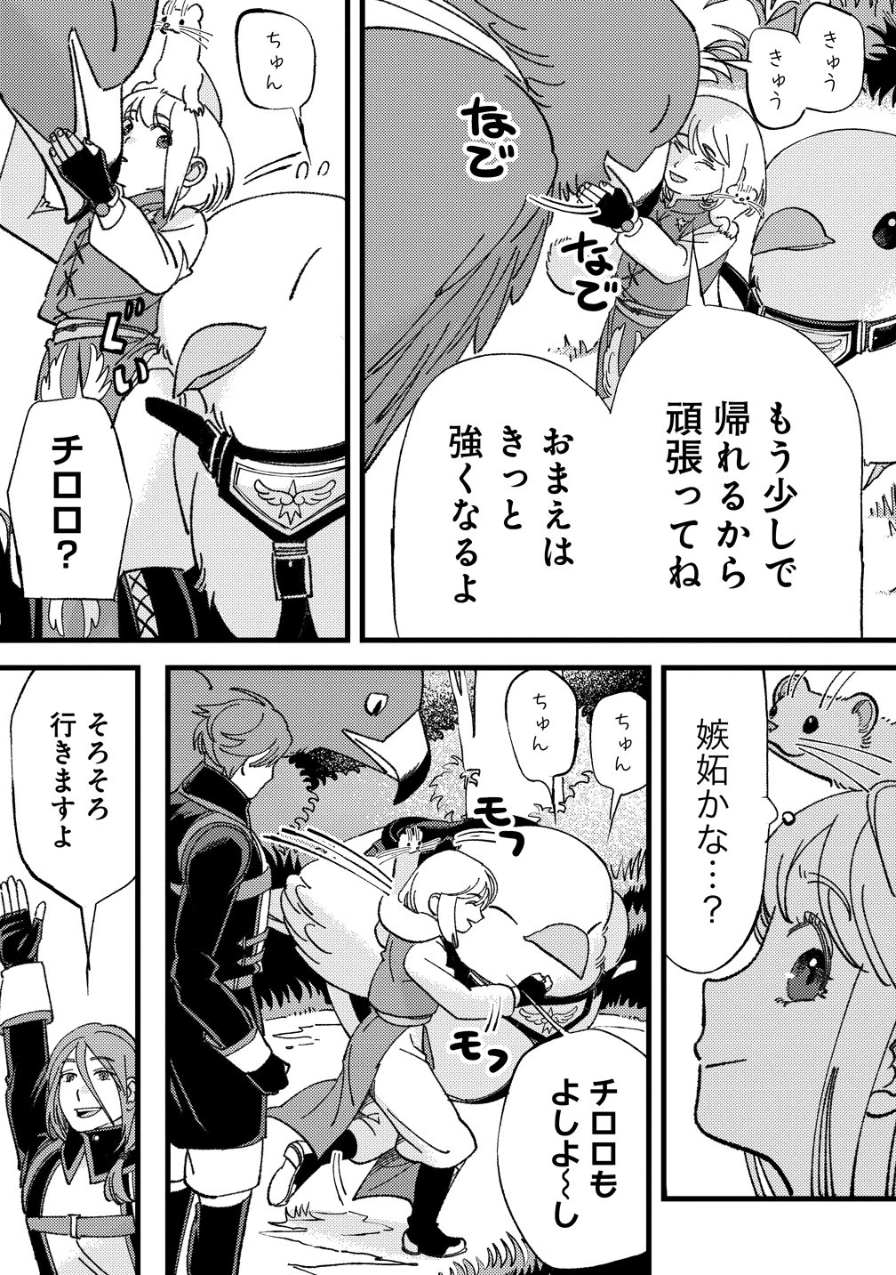 小鳥ライダーは都会で暮らしたい モフモフな相棒と、のんびり異世界冒険記 第6話 - 19