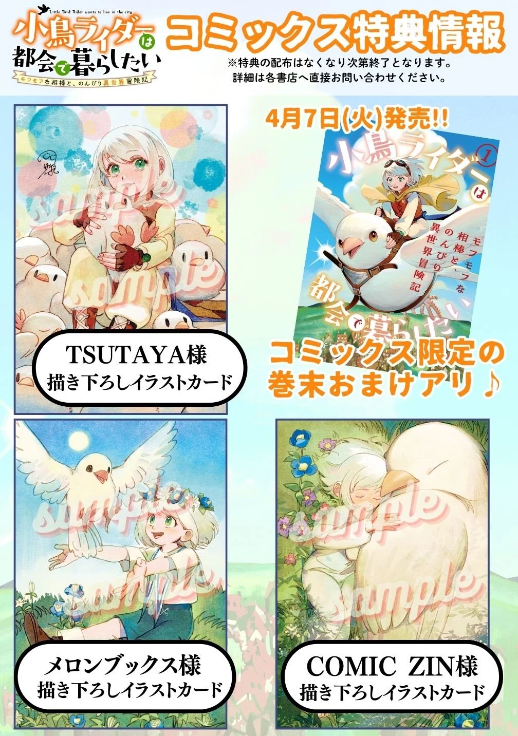 小鳥ライダーは都会で暮らしたい モフモフな相棒と、のんびり異世界冒険記 第6話 - 31
