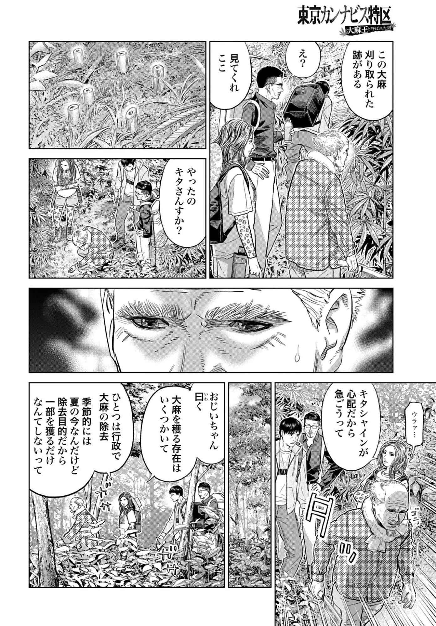 東京カンナビス特区 大麻王と呼ばれた男 第87話 - 19