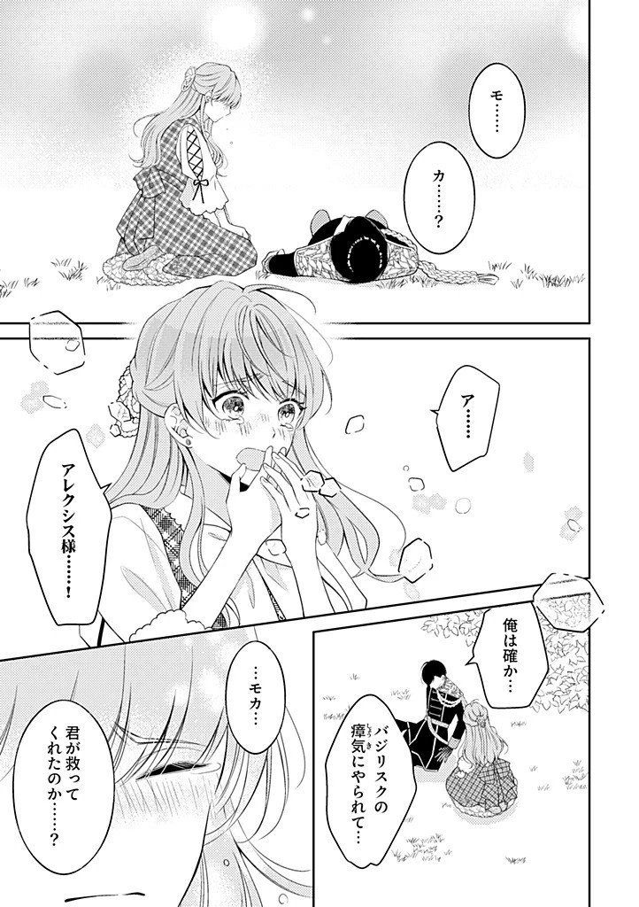 「姉のスペア」と呼ばれた身代わり人生は、今日でやめることにします～辺境で自由を満喫中なので、今さら真の聖女と言われても知りません!～ 第12話 - 5