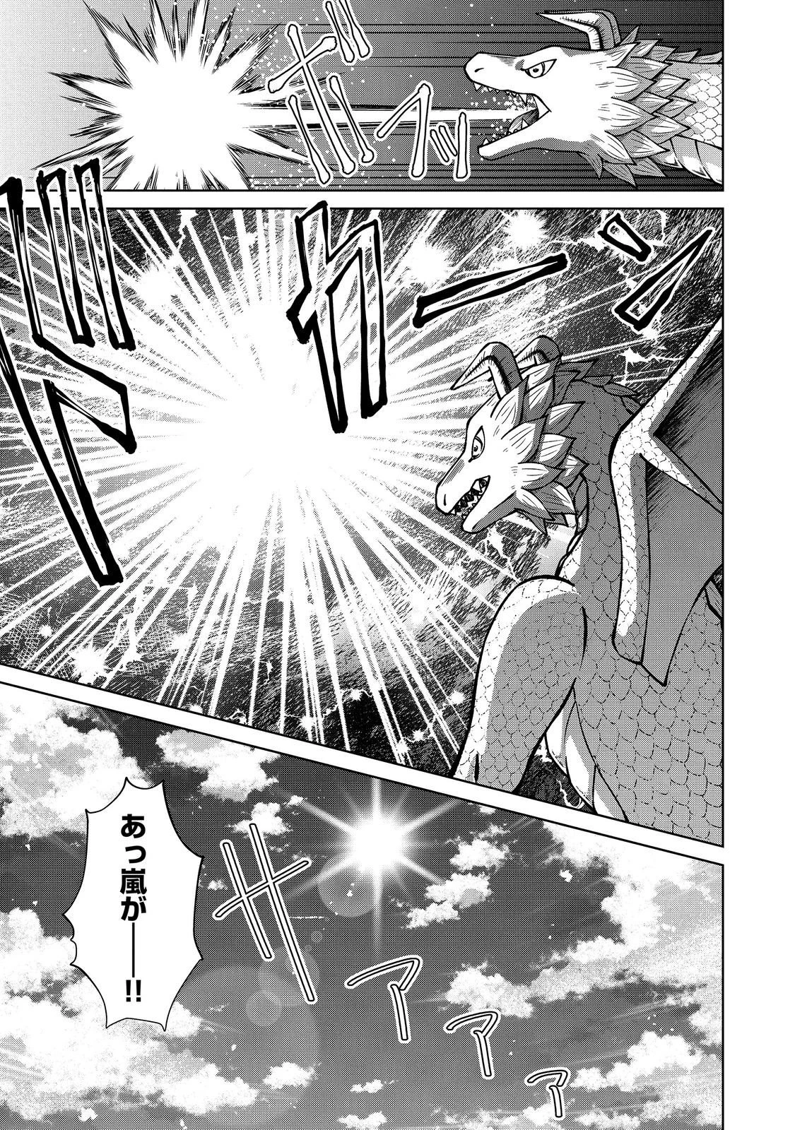 没落予定の貴族だけど、暇だったから魔法を極めてみた 第61話 - 17