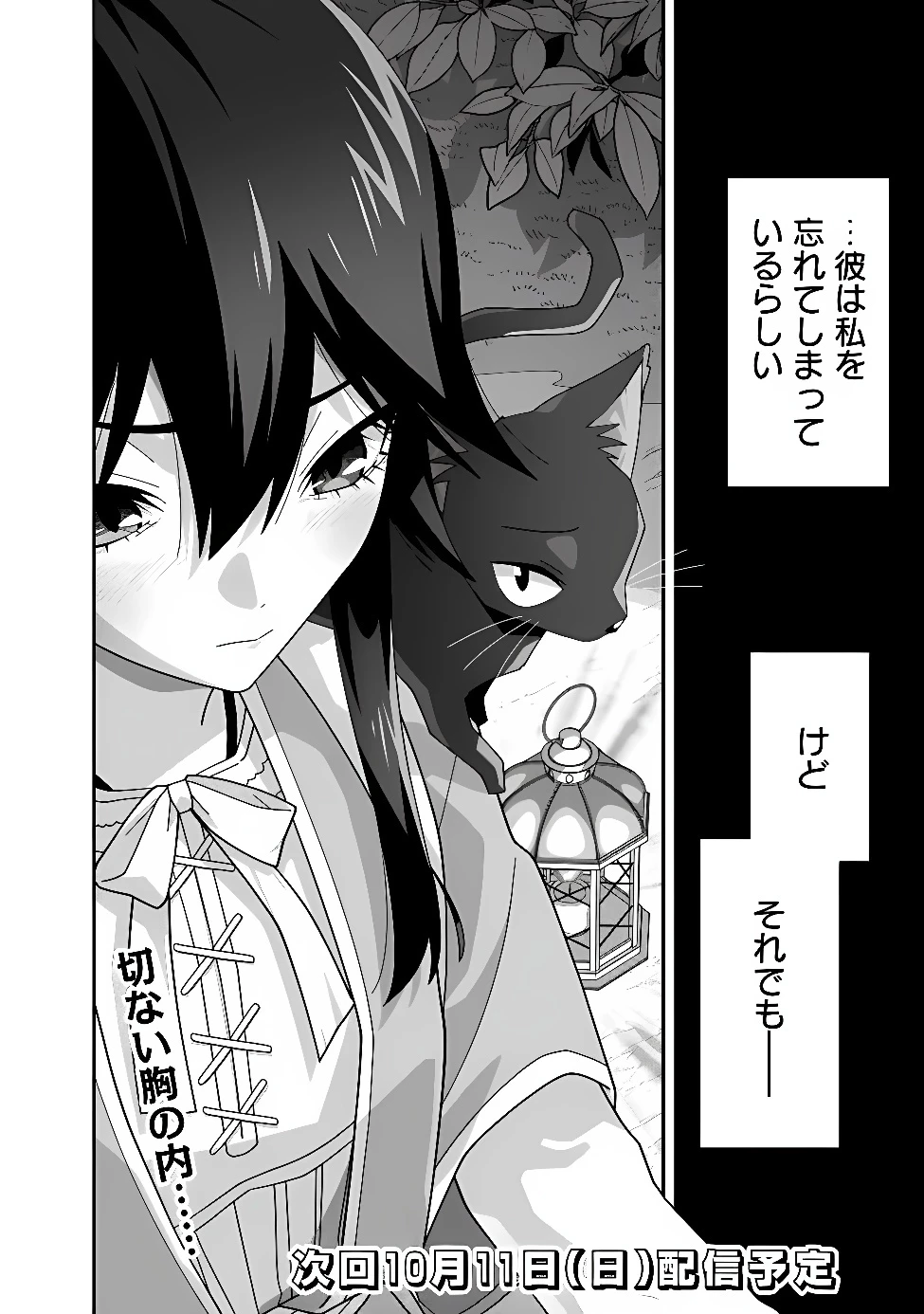 黒猫の悪役令嬢～最低魔力ですが、最強の剣術で諸国漫遊しちゃいます～ 第3話 - 28