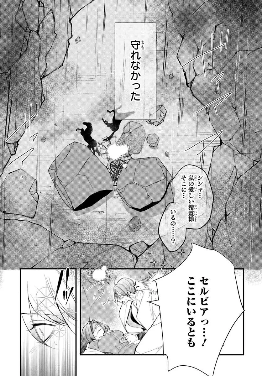 精霊に「お前は主人にふさわしくない、契約破棄してくれ!」と言われたので、欲しがっている妹に譲ります 第13話 - 7