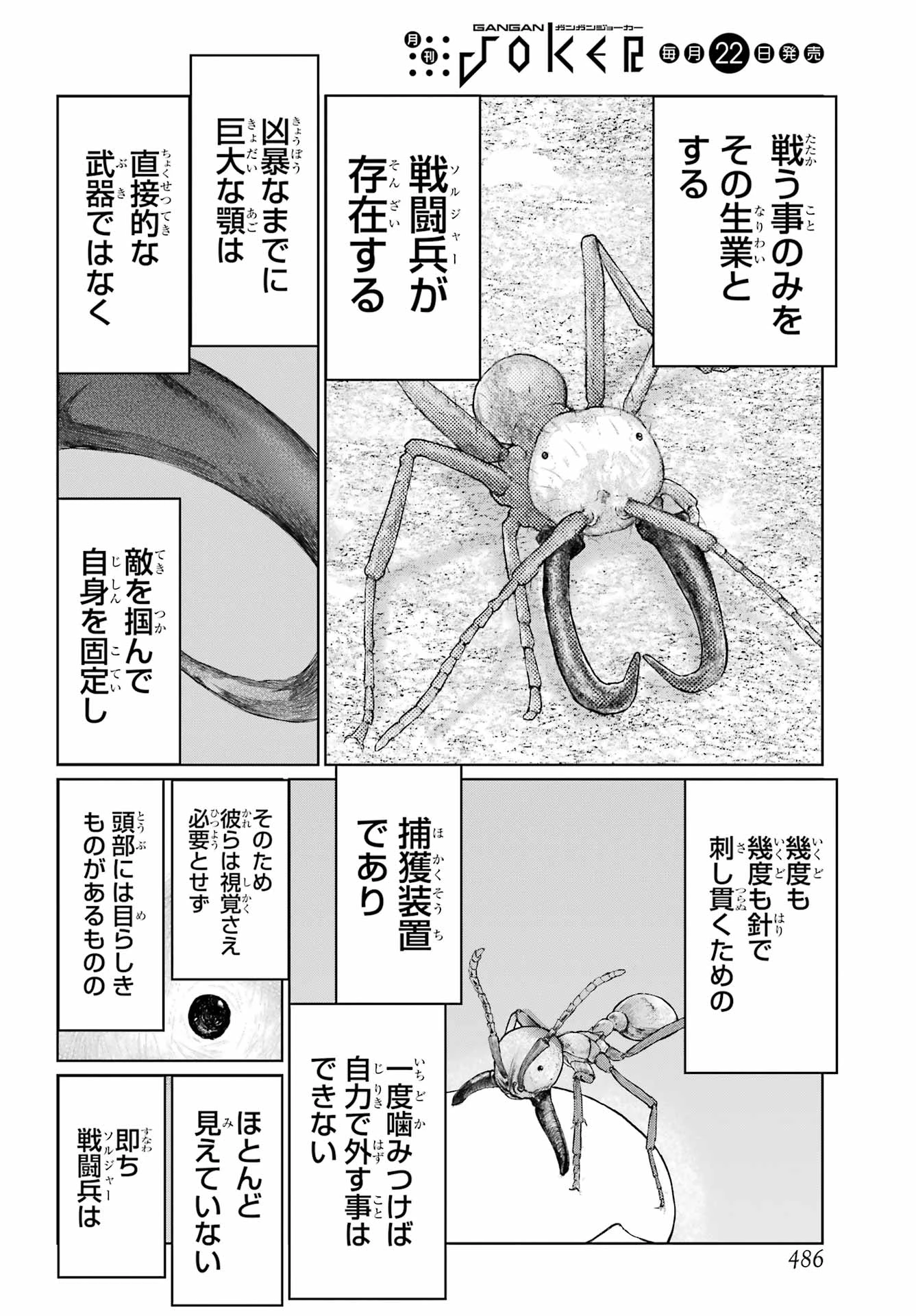 ブラットデア 第54話 - 16