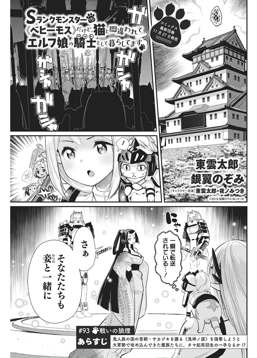Sランクモンスターの《ベヒーモス》だけどネコと間違われてエルフ娘の騎士として暮らしています 第93話 - 1