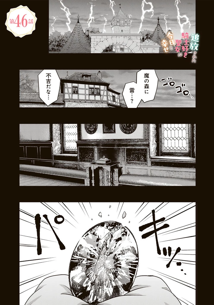 追放された騎士好き聖女は今日も幸せ 真の聖女らしい義妹をいじめたという罪で婚約破棄されたけど、憧れの騎士団の寮で働けることになりました！ 第46話 - 1