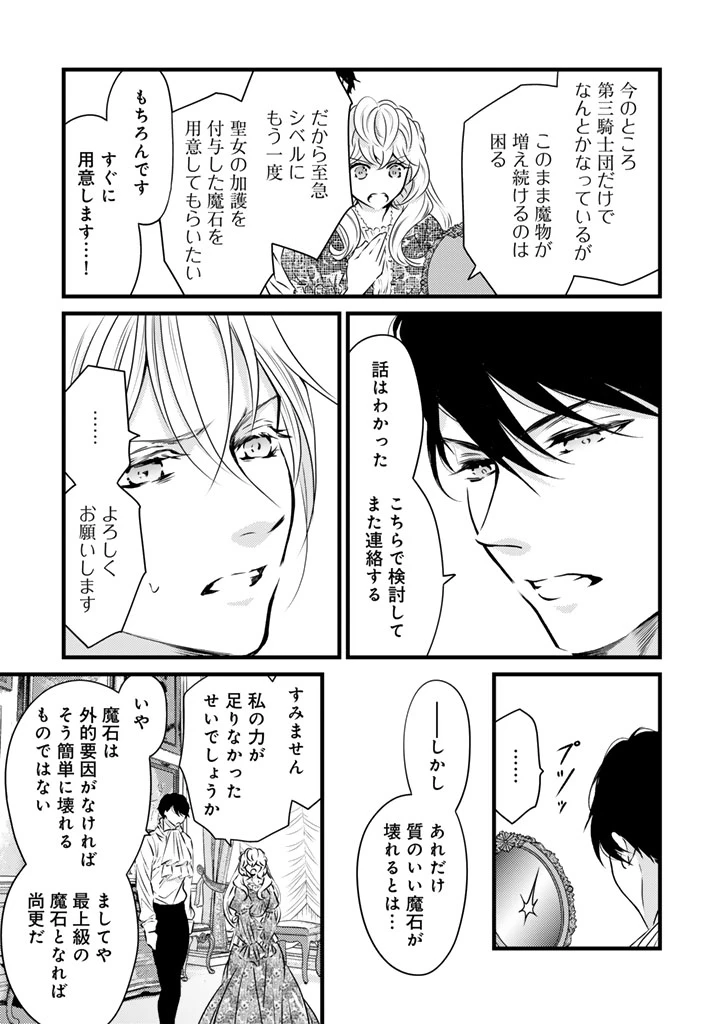 追放された騎士好き聖女は今日も幸せ 真の聖女らしい義妹をいじめたという罪で婚約破棄されたけど、憧れの騎士団の寮で働けることになりました！ 第46話 - 15