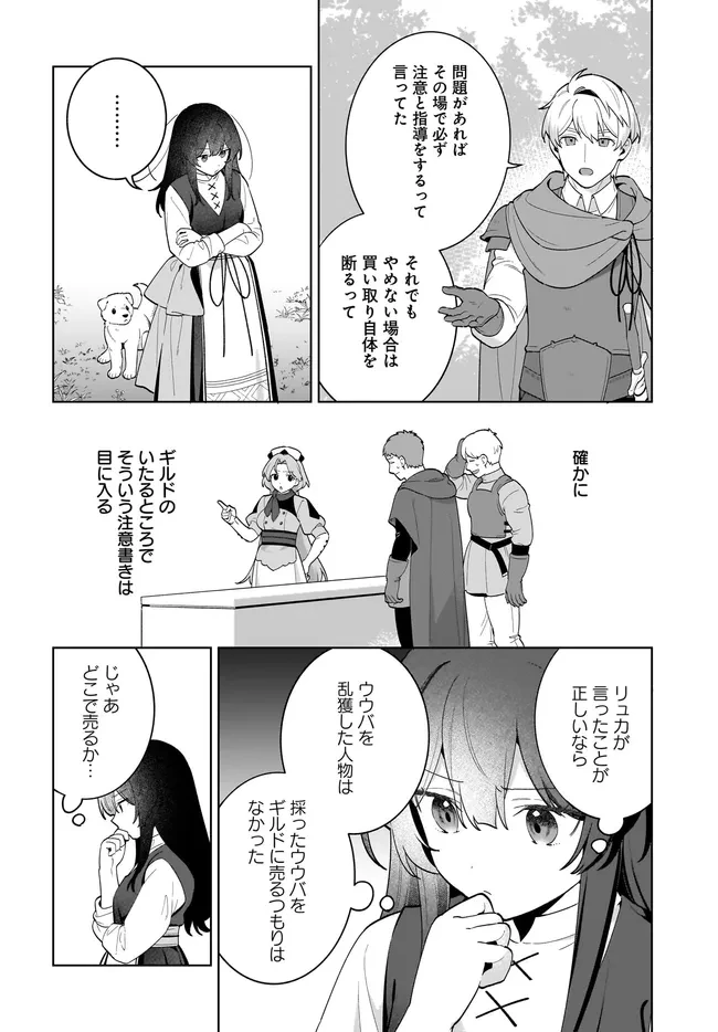 薬売りの聖女 ～冤罪で追放された薬師は、辺境の地で幸せを掴む～ 第16話 - 6