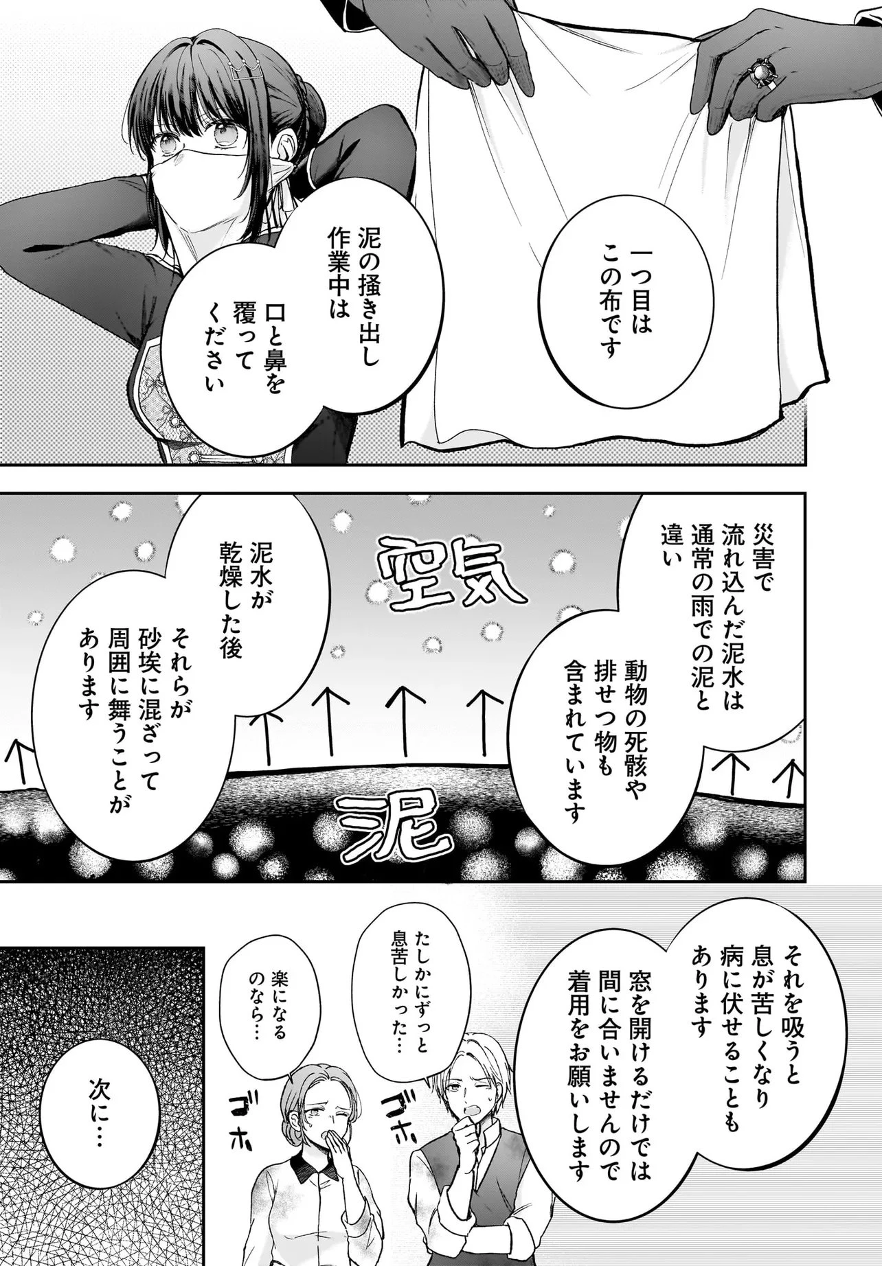 職業王妃ですので王の溺愛はご遠慮願います 第6話 - 11