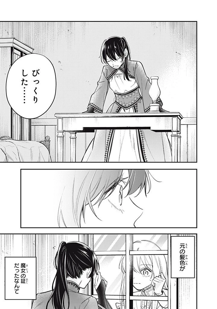 婚約破棄されたので、好きにすることにした。 第28話 - 7