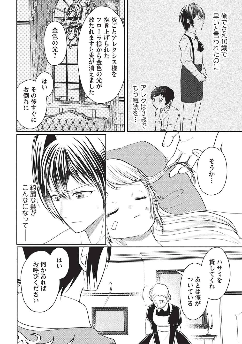 1年限りの契約婚(公爵様の溺愛付き!) ～英雄の継母になった私は、どうやら聖女の末裔のようです～ 第9話 - 6