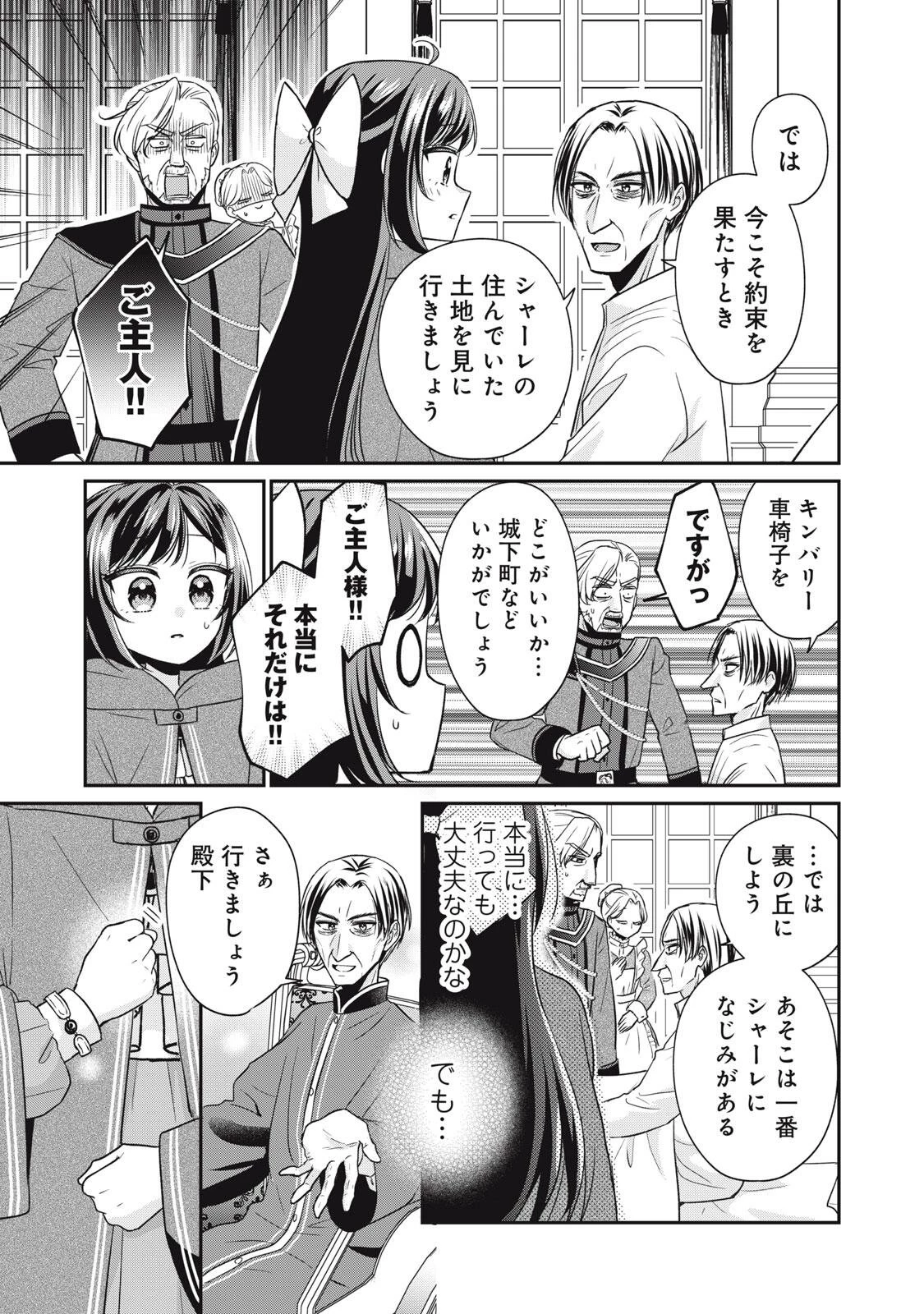 断罪される公爵令嬢、生まれ変わってラスボスの王妃様の子どもになります 第9話 - 5