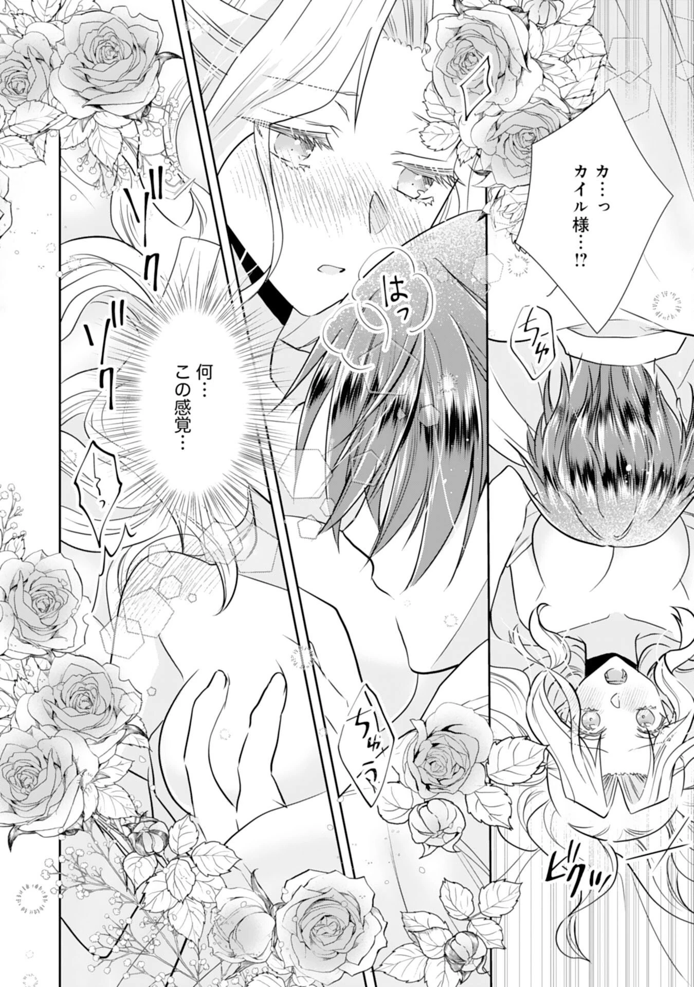捨てられ令嬢は、獣な次期国王に溺愛される 第11話 - 4