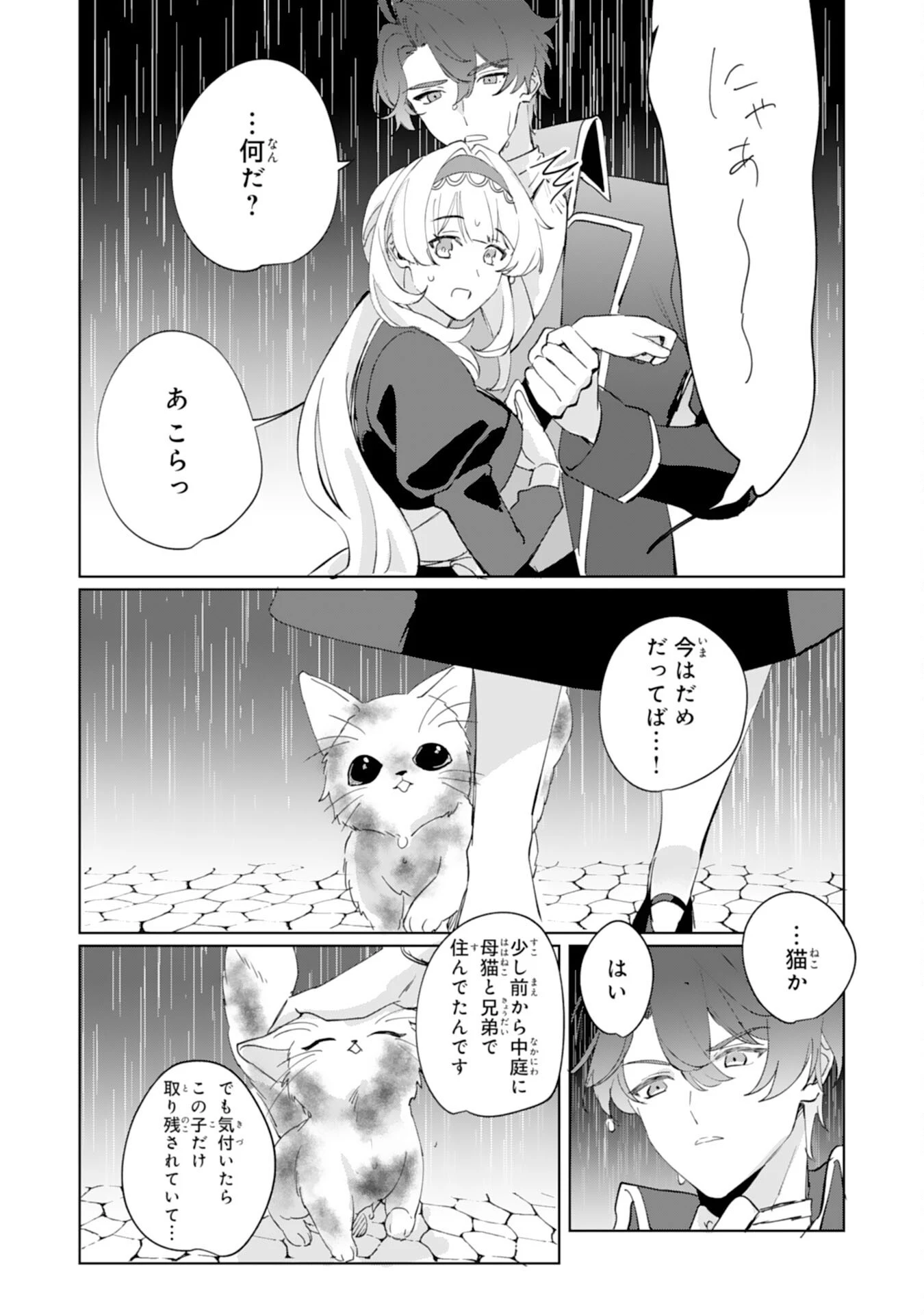 ふつつかな後妻なので見返りの愛は求めません！ 第2話 - 11