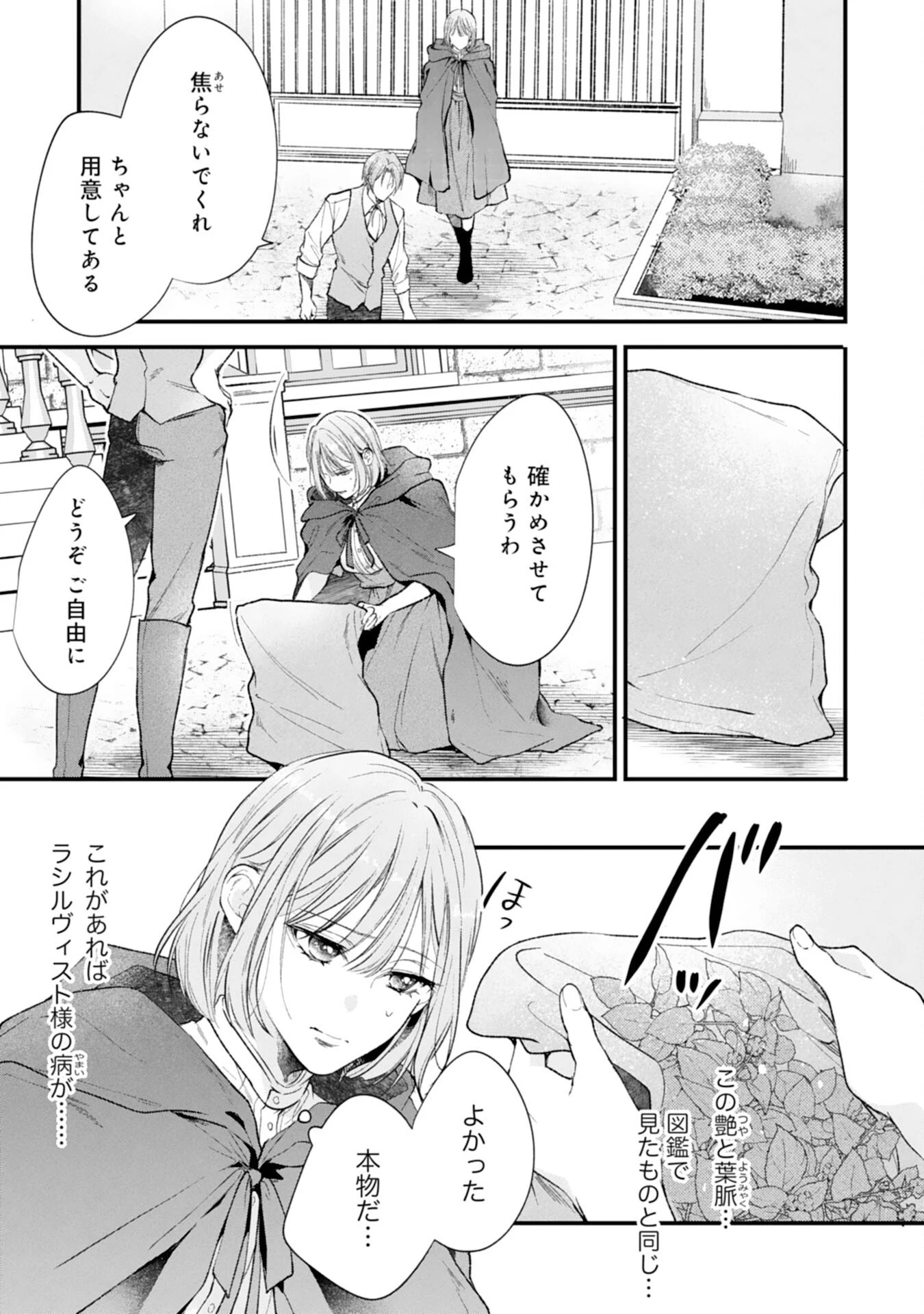 悪女のレッテルを貼られた追放令嬢ですが、最恐陛下の溺愛に捕まりました 第19話 - 3