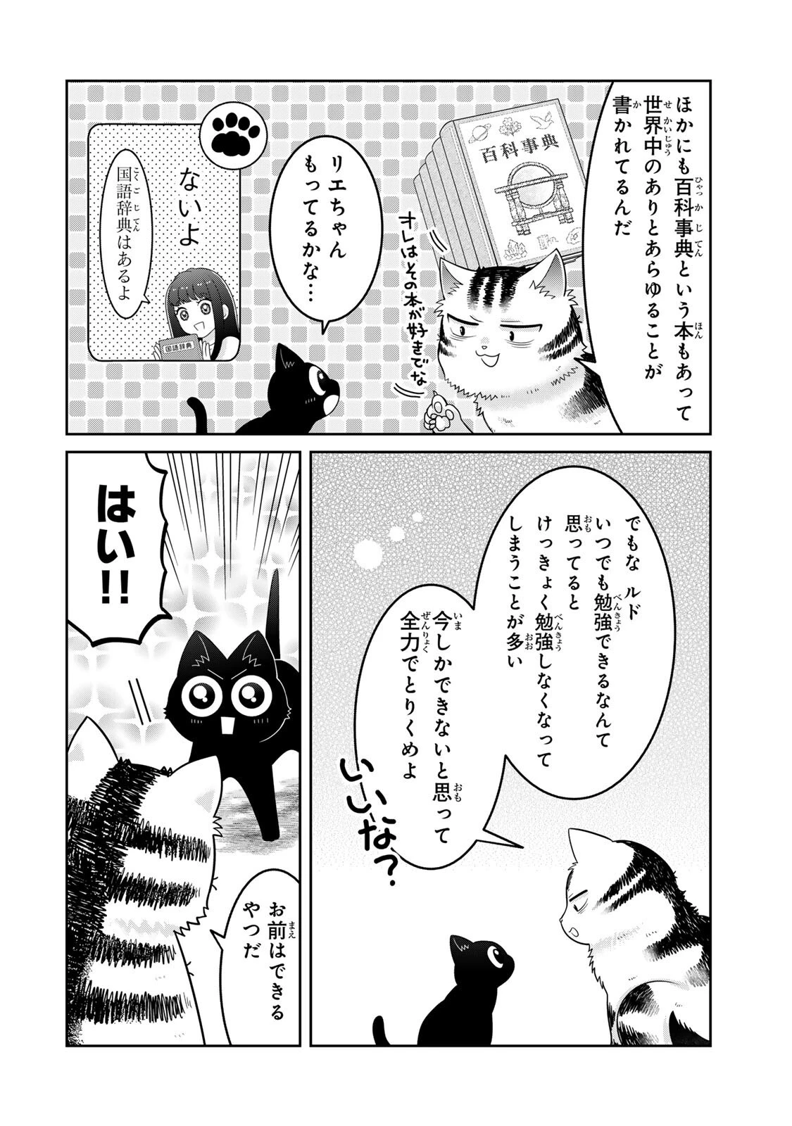 ルドルフとイッパイアッテナ 第15話 - 12
